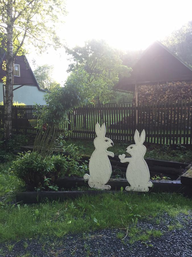 Chata Pod Lesem Rýmařov Exterior foto