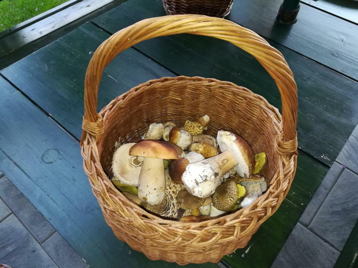 Chata Pod Lesem Rýmařov Exterior foto